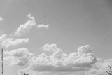 preview bw