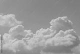 preview bw