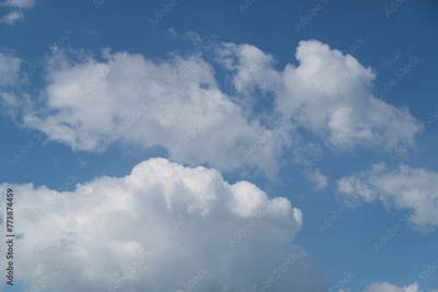 image to crop