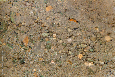 image to crop