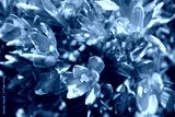preview cold
