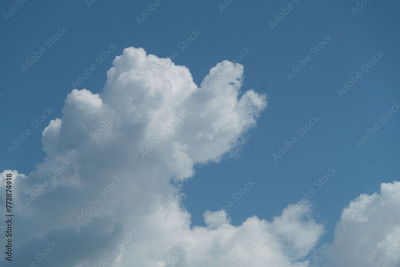 image to crop