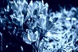 preview cold