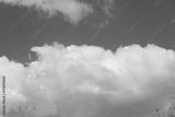 preview bw