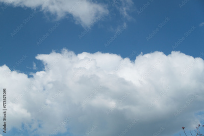 image to crop