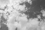 preview bw