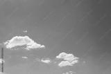 preview bw