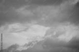 preview bw