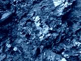 preview cold