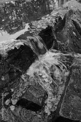 preview bw