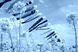 preview cold