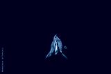 preview cold
