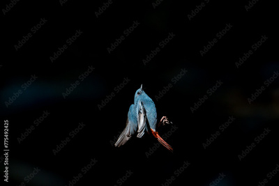 image to crop