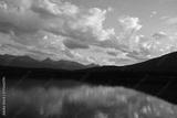 preview bw