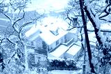 preview cold