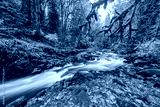 preview cold