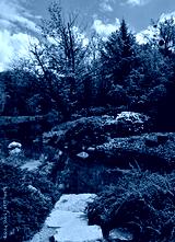preview cold