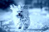 preview cold