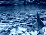 preview cold