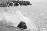 preview bw