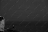 preview bw