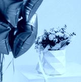 preview cold