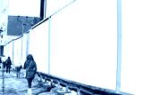 preview cold