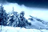 preview cold