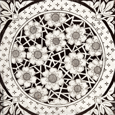 image to crop