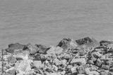 preview bw