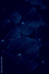 preview cold