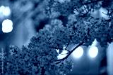 preview cold