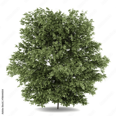 image to crop