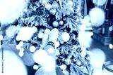 preview cold