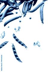 preview cold