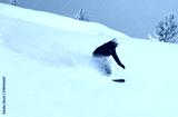 preview cold
