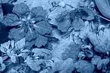preview cold