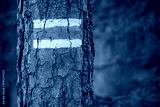 preview cold