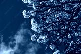 preview cold