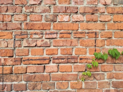 image to crop