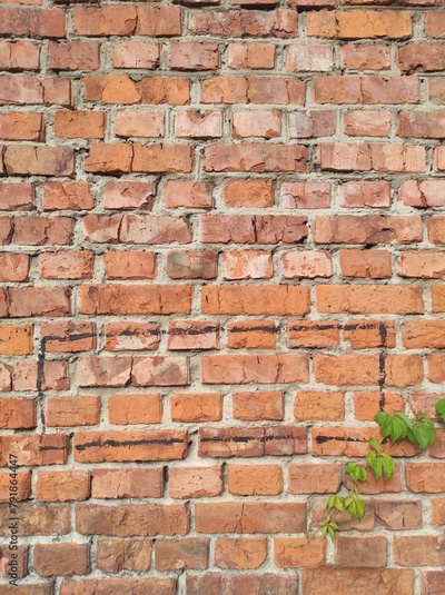 image to crop