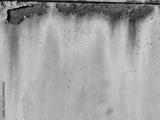 preview bw