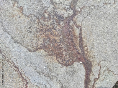 image to crop