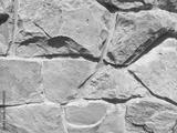 preview bw