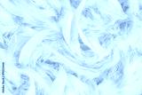 preview cold