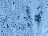 preview cold