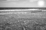 preview bw