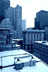 preview cold