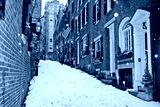 preview cold