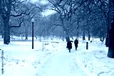 preview cold